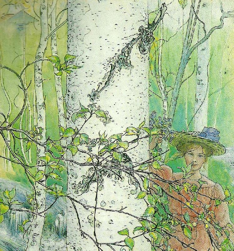 Carl Larsson varen-flicka vid bjork oil painting picture